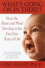brain development, early childhood development
